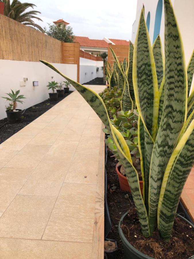 Cozy, Beach House , By Mahbovillas La Oliva Exterior foto